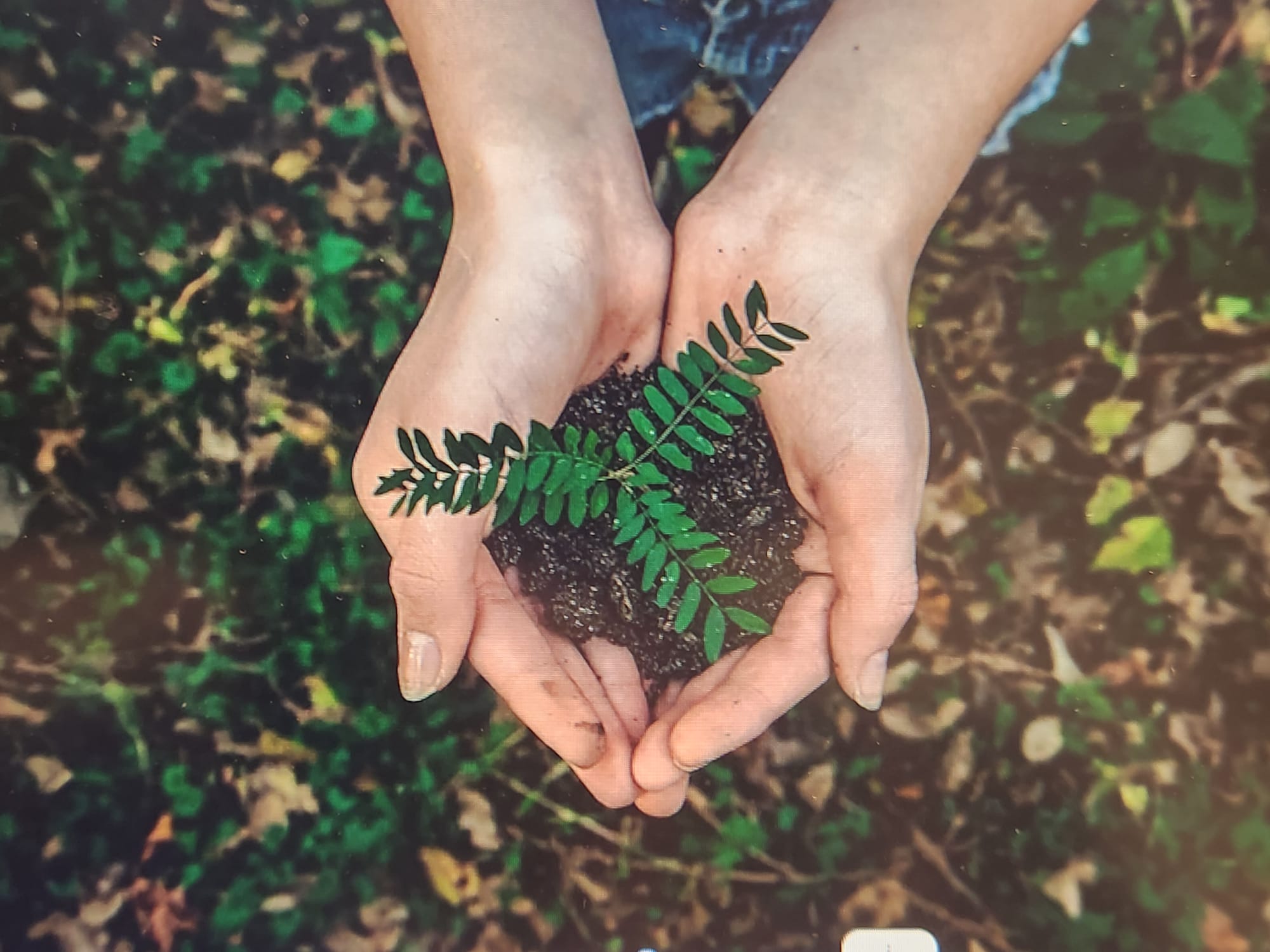 Social Responsibility