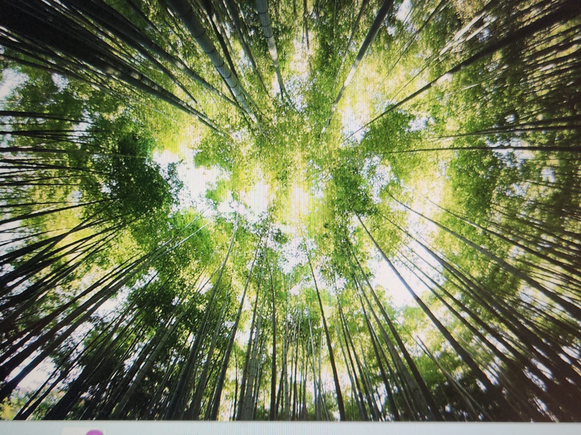 Sustainability & ESG